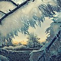 Winter Magic