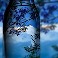 Nature Through Bottle 