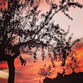 Beautiful evening in Spain
